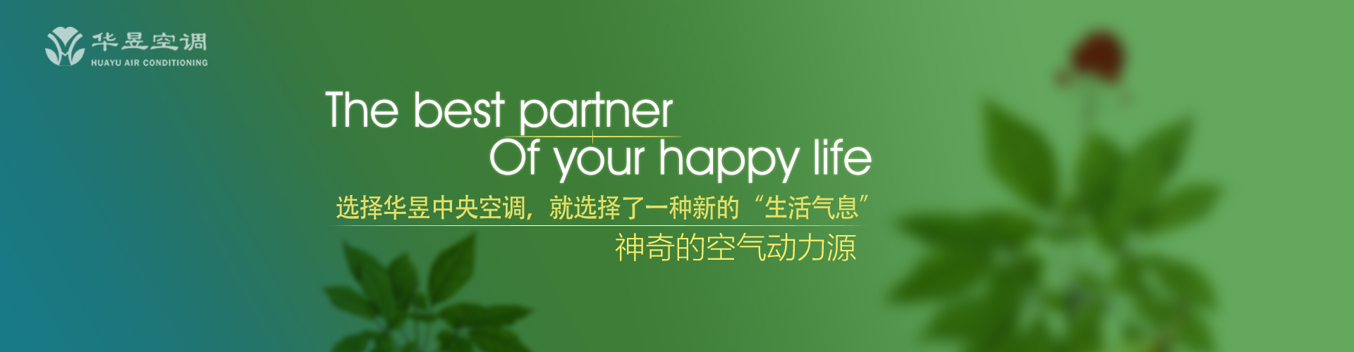天打雷劈网